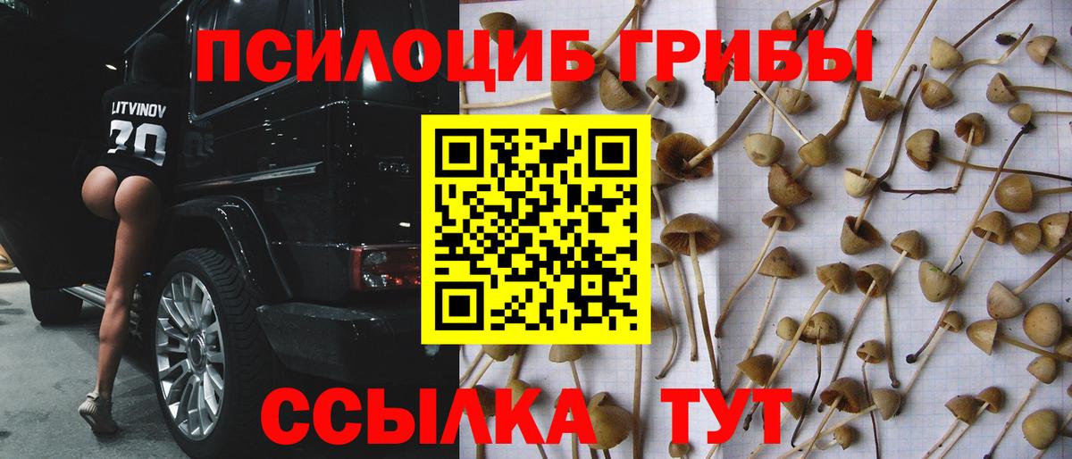 Назарово  Псилоцибиновые грибы MAGIC MUSHROOMS  Вход с VPN 